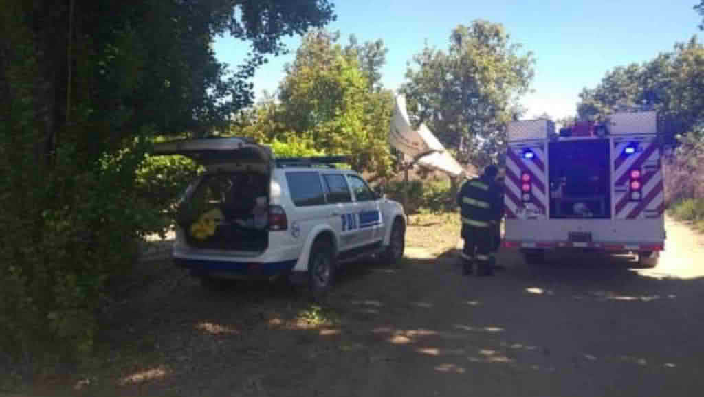 Investigan muerte accidental de recolector de leña en Peumo