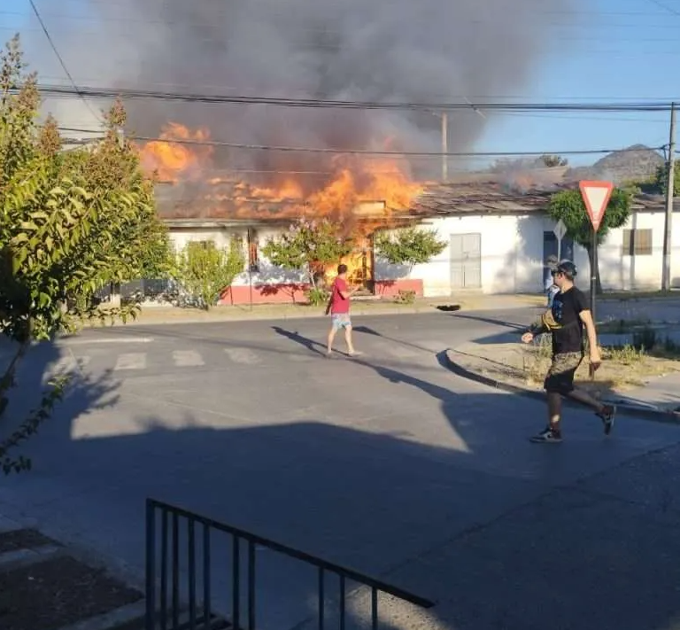 Incendio en Peumo: tres viviendas y un local comercial destruidos