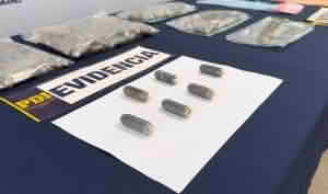 Ocho detenidos en Rancagua por ingreso de droga en ovoides
