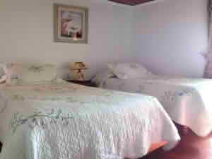 Tras recibir oficio: hostal que insultaba a usuarios reconoce errores y pide disculpas
