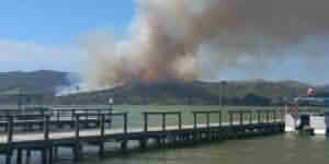 Incendio forestal en Las Cabras moviliza brigadas de Bomberos y CONAF