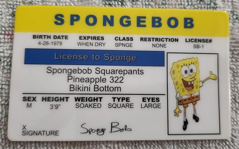 SpongeBob SquarePants Novelty License ID Card 2004 Nickelodeon Collectible