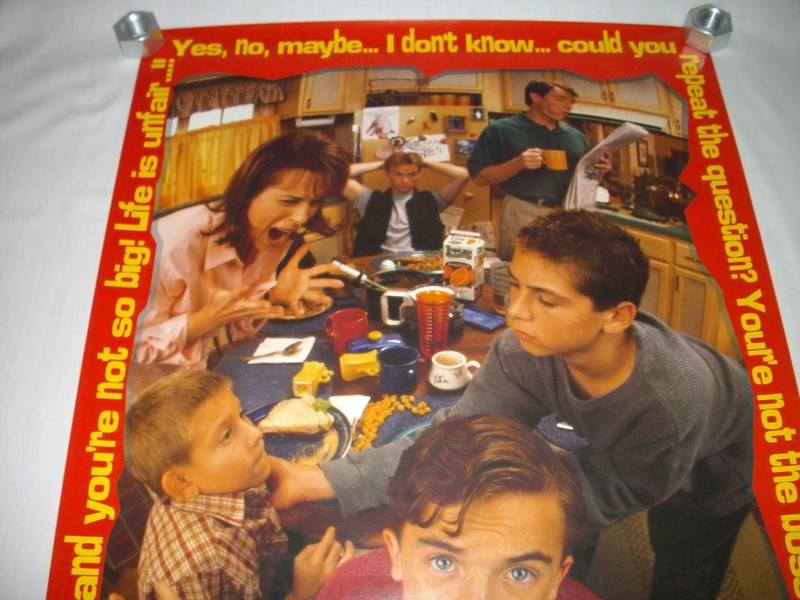 VINTAGE 2001 FUNKY ENT. 22" x 34" FOX MALCOLM IN THE MIDDLE #3506 POSTER - MINT! gallery
