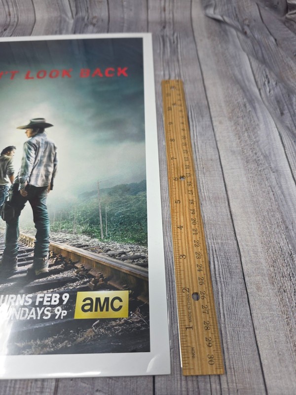 Brand New The Walking Dead Don't Look Back poster 17x11 inches protective sleeve gallery