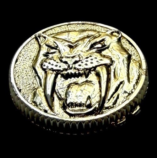 *ORIGINAL* Vintage 1991 MMPR Power Rangers Dino Morpher Sabertooth Coin