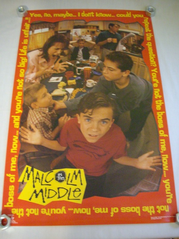 VINTAGE 2001 FUNKY ENT. 22" x 34" FOX MALCOLM IN THE MIDDLE #3506 POSTER - MINT! gallery